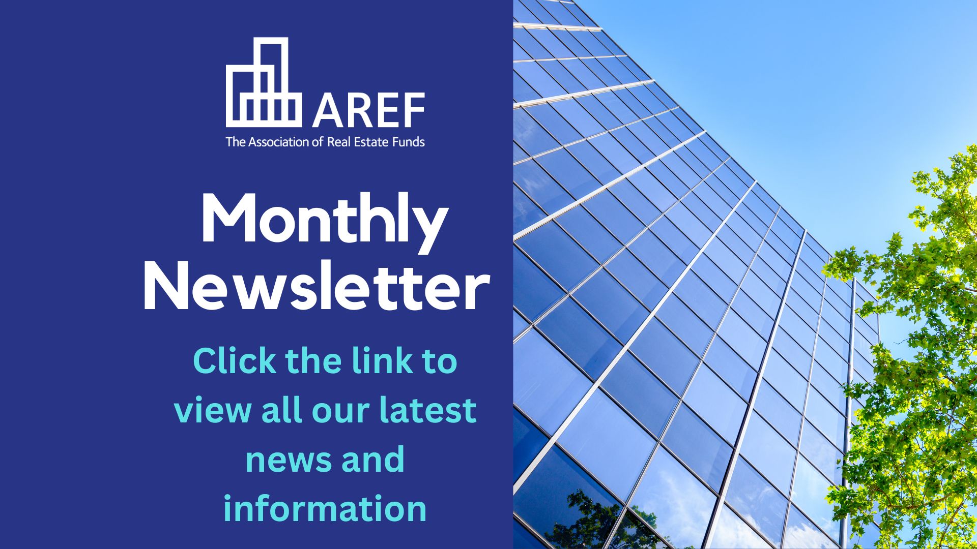 Newsletter - August 2024
